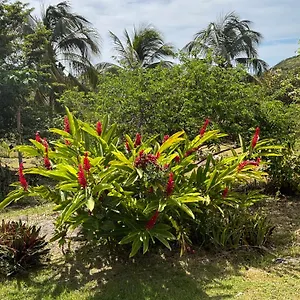 Au Gré Des Alizés - Kaz Soley Péyi , Capesterre Guadeloupe